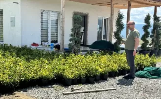 Tosya’da 10 bin kök süs bitkisinin dikimi yapılacak