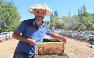 Tosya’da 55 ton bal hasadı yapıldı