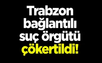 Trabzon bağlantılı suç örgütü çökertildi