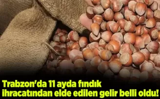 Trabzon’da 11 ayda fındık ihracatından elde edilen gelir belli oldu!