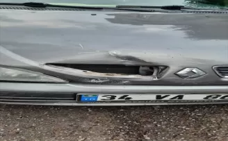 Trabzon’da ayı, seyir halindeki otomobile zarar verdi