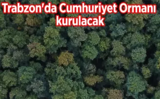 Trabzon’da Cumhuriyet Ormanı kurulacak