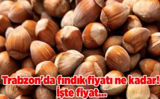 Trabzon’da fındık fiyatı ne kadar! İşte fiyat...