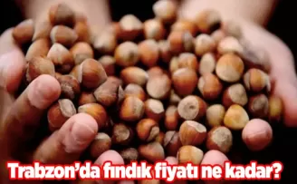 Trabzon’da fındık fiyatı ne kadar?