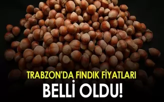 Trabzon’da fındık fiyatları belli oldu!