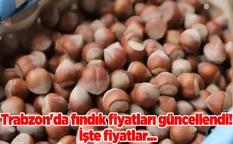 Trabzon’da fındık fiyatları güncellendi! İşte fiyatlar...