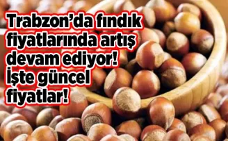 Trabzon’da fındık fiyatlarında artış devam ediyor! İşte güncel fiyatlar!