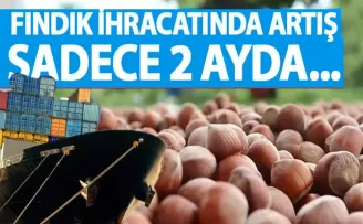 Trabzon'da fındık ihracatında artış! Sadece 2 ayda...