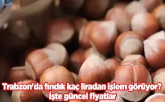Trabzon’da fındık kaç liradan işlem görüyor? İşte güncel fiyatlar