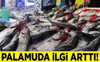 Trabzon’da Havalar Serinledi, Palamuda İlgi Arttı!