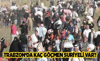 Trabzon’da kaç Suriyeli sığınmacı var? İşte resmi rakamlar