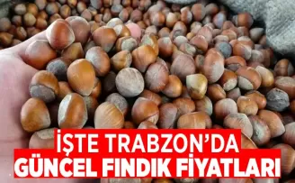 Trabzon’da merakla beklenen fındık fiyatları açıklandı!