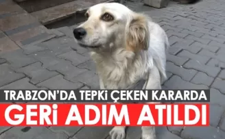 Trabzon'da sahipli köpeklere 'ağızlık' kararı geri çekildi