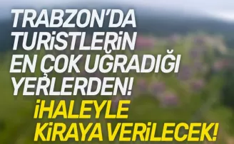 Trabzon’da Tabiat Parkı İşletmeciliği ihaleyle kiraya verilecek!