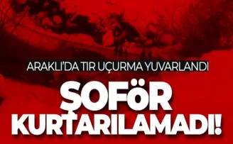 Trabzon'da TIR uçuruma yuvarlandı! 1 kişi hayatını kaybetti