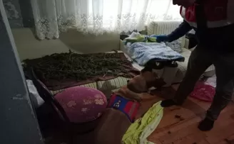 Trabzon'da uyuşturucu operasyonunda 1 şüpheli yakalandı