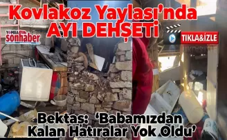 Trabzon’da Yayla Evine Ayı Girdi: ‘Babamızdan Kalan Hatıralar Yok Oldu’
