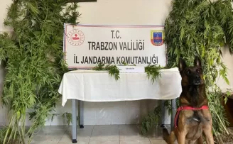 Trabzon’daki uyuşturucu operasyonunda 1 şüpheli gözaltına alındı