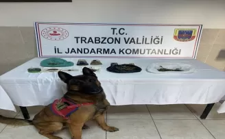 Trabzon'daki uyuşturucu operasyonunda 2 kişi yakalandı