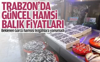 Trabzon güncel hamsi ve balık fiyatları