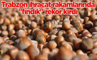 Trabzon ihracat rakamlarında “fındık“ rekor kırdı