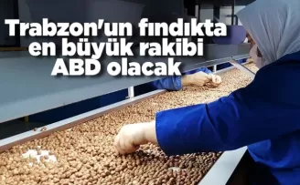 Trabzon'un fındıkta en büyük rakibi ABD olacak
