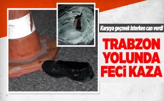 Trabzon yolunda feci kaza! Karşıdan karşıya geçmek isterken can verdi