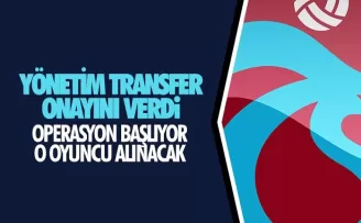 Trabzonspor transferde kararını verdi!