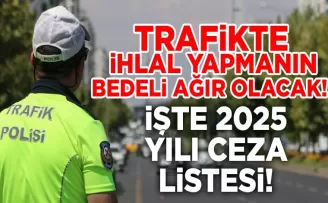 İşte gelecek zamlarla birlikte 2025 yılında trafik cezaları...