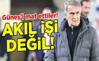 “Trezeguet’in Gönderilmesi Akılcı Değil“