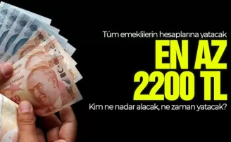 Tüm emeklilerin hesaplarına yatacak: En az 2.200 TL verilecek! İşte detaylar...