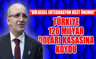 Türkiye 126 milyar doları kasasına koydu