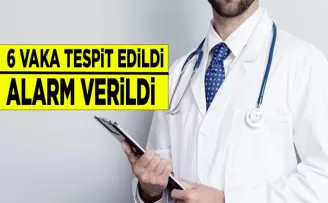 Türkiye’de Batı Nil Virüsü Alarmı: 6 Vaka Tespit Edildi!