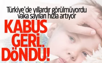 Türkiye'de yıllardır görülmüyordu! Kabus geri döndü, vaka sayısı artıyor