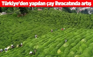 Türkiye’den yapılan çay ihracatında artış