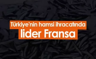Türkiye'nin hamsi ihracatında lider Fransa