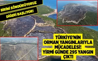 Türkiye’nin orman yangınlarıyla mücadelesi! Yirmi günde 295 yangın çıktı
