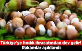 Türkiye’ye fındık ihracatından dev gelir! Rakamlar açıklandı