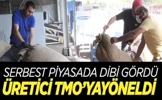Üretici TMO'ya yöneldi