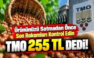 Ürününüzü Satmadan Önce Son Rakamları Kontrol Edin