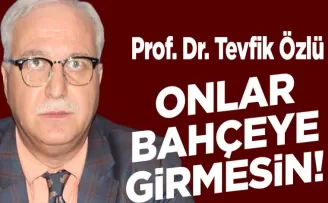 Uzmanlardan Uyarı: Akciğer Hastaları Fındık Bahçelerine Girmemeli