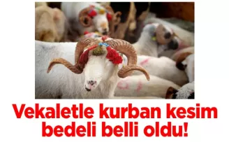 Vekaletle kurban kesim bedeli belli oldu!
