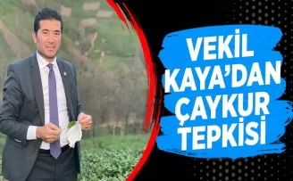 Vekil Kaya'dan ÇAYKUR tepkisi 