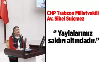 ‘’ Yaylalarımız saldırı altındadır.’’