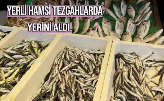 Yerli hamsi Trabzon'da tezgahlardaki yerini aldı