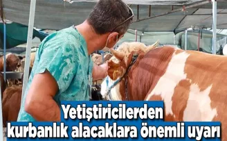 Yetiştiricilerden kurbanlık alacaklara önemli uyarı