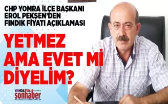 YETMEZ AMA  EVET Mİ DİYELİM?
