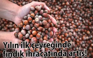 Yılın ilk çeyreğinde fındık ihracatında artış!