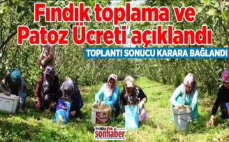 Yomra’da fındık toplama ve Patoz Ücreti ne kadar?