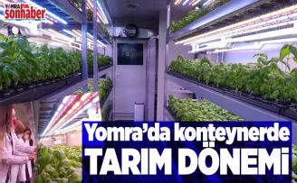 Yomra'da Konteynerde tarım dönemi